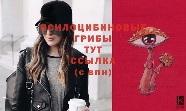 соль ск Белоозёрский
